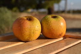 About our Apples | Cuyama Orchards